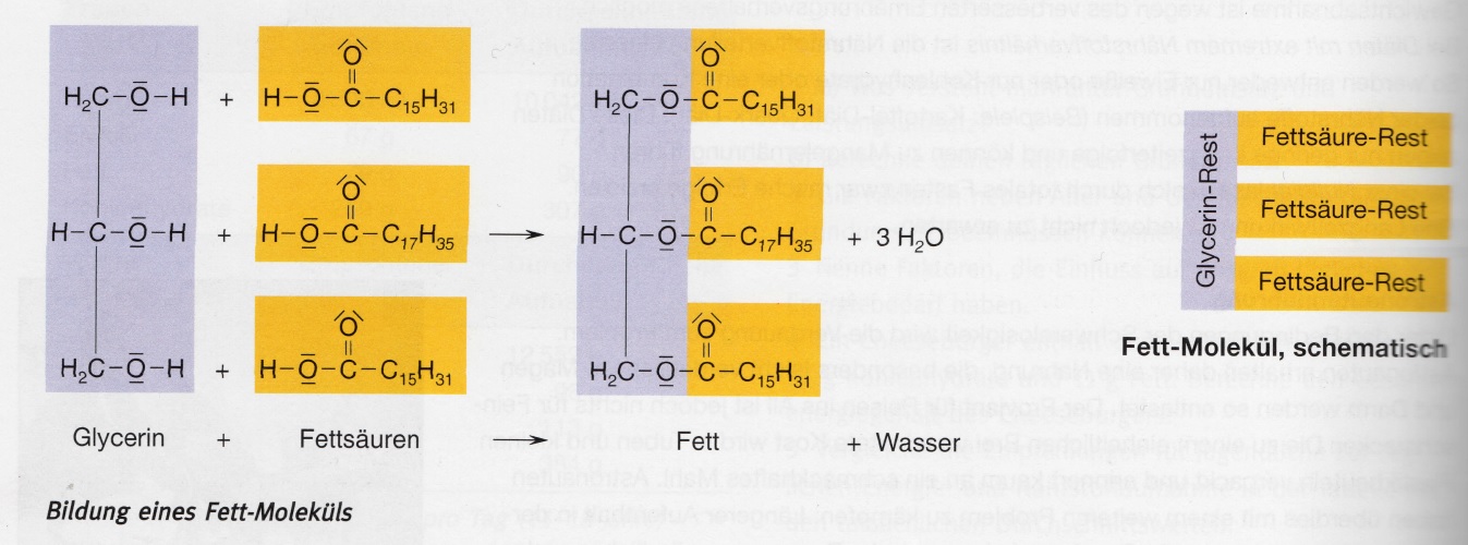 imagenquimica1