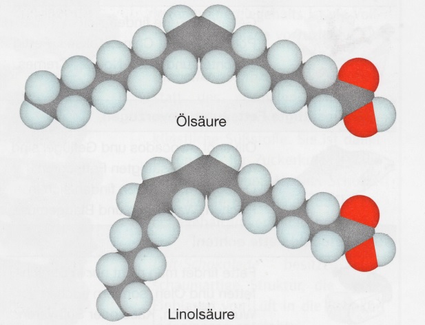 imagenquimica1