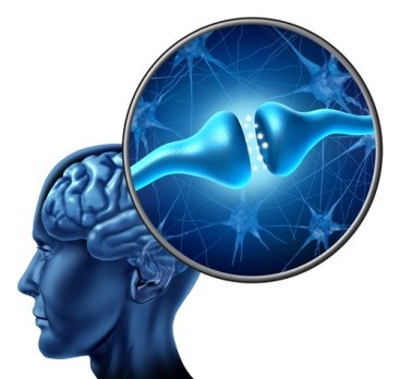 Drugs and Neurotransmitters (3)