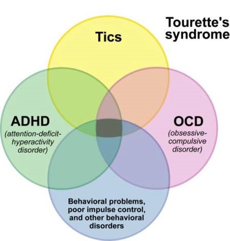 Tourette's syndrome