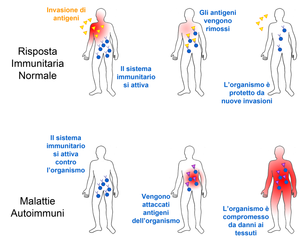 sistema inmunitario