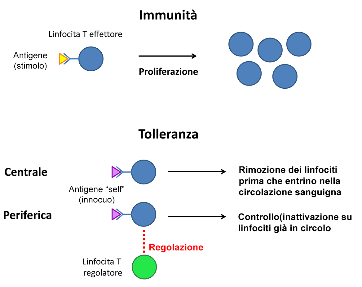 imagen quimica1